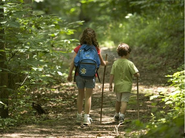 Children in forest